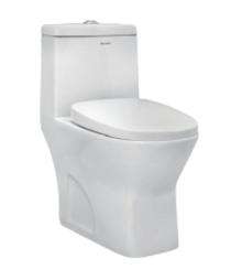 Parryware EWC with Seat Cover and Flush Eden Floor_0