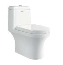 Parryware EWC with Seat Cover and Flush Joy Floor_0