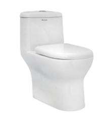 Parryware EWC with Seat Cover and Flush Atlas Floor_0