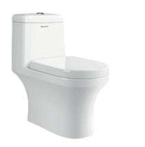 Parryware EWC with Seat Cover and Flush Viva Floor_0