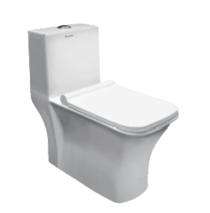 Parryware EWC with Seat Cover and Flush Aster Floor_0