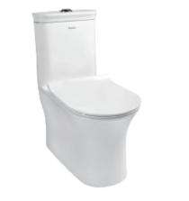 Parryware EWC with Seat Cover and Flush Vista Floor_0