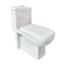 Parryware EWC with Seat Cover and Flush Swift Floor_0