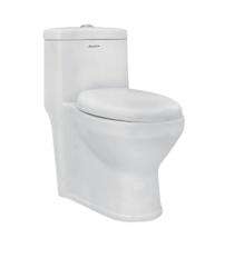 Parryware EWC with Seat Cover and Flush Sutra Floor_0