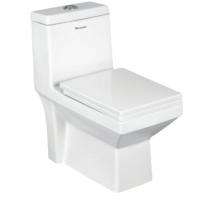 Parryware EWC with Seat Cover and Flush Kidz Floor_0