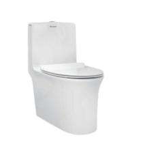 Parryware EWC with Seat Cover and Flush Opula Floor_0