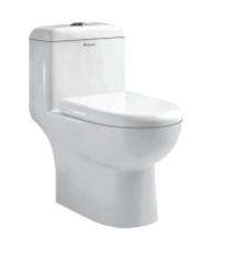 Parryware EWC with Seat Cover and Flush Eden Floor_0