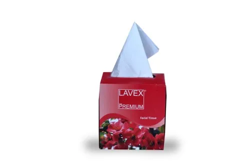Lavex Facial Tissue Paper Plain 19 x 20 cm White_0
