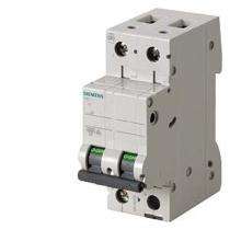 SIEMENS 5SL62407RC Double Pole 40 A C MCB_0