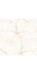 L&T SuFin Brand - Gravis Canopy Crema 600 x 600 mm Cream Glossy Glazed Vitrified Tile_0