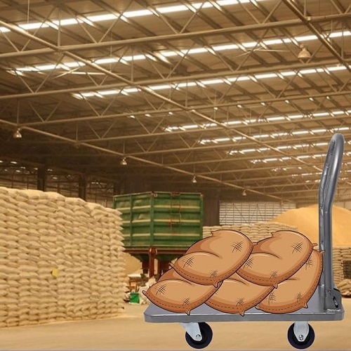 Bigapple 4 Wheel Platform Trolley 300 kg_4