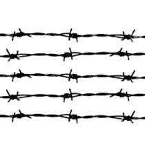 Accurate Barbed Wire Type A 2_0