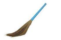 PARAS Grass Soft Broom 50 inch Blue_0