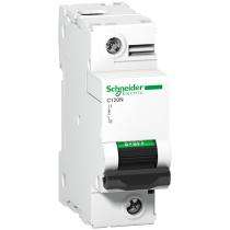 Schneider Electric A9N18359 Single Pole 125 A C Curve MCB_0