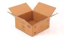 IP 12 x 10 x 8 inch 10 kg Brown Corrugated Boxes_0