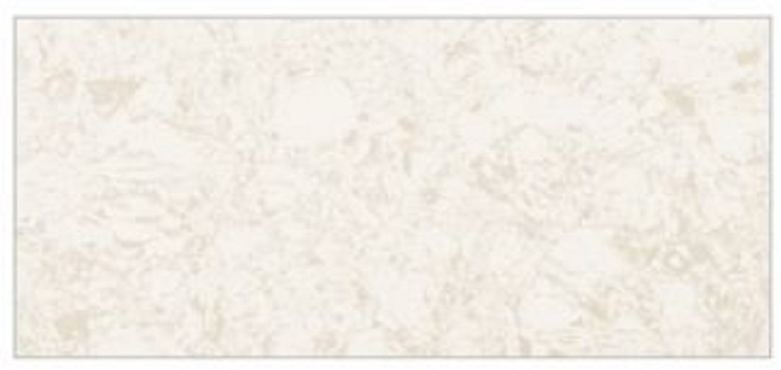 Buy AGL Ultima Beige Polished Marble Slab 3025 x 1225 mm online at