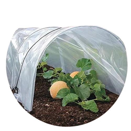 SINGHAL PE 80 - 200 micron Greenhouse Film 10 m White_1