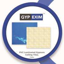 GYPEXIM PVC Laminated Ceiling Tiles 8 mm Gypsum False Ceiling 600 x 600 mm_0