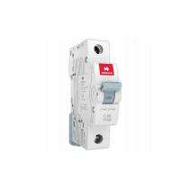 HAVELLS DHMGCSPF006 Single Pole 6 A C MCB_0