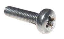 Samarth Round M10 12 mm Self Tapping Screws Mild Steel Polished_0