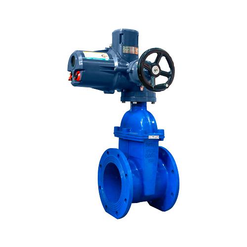 Cair Motorized DI Gate Valves 100 mm_2