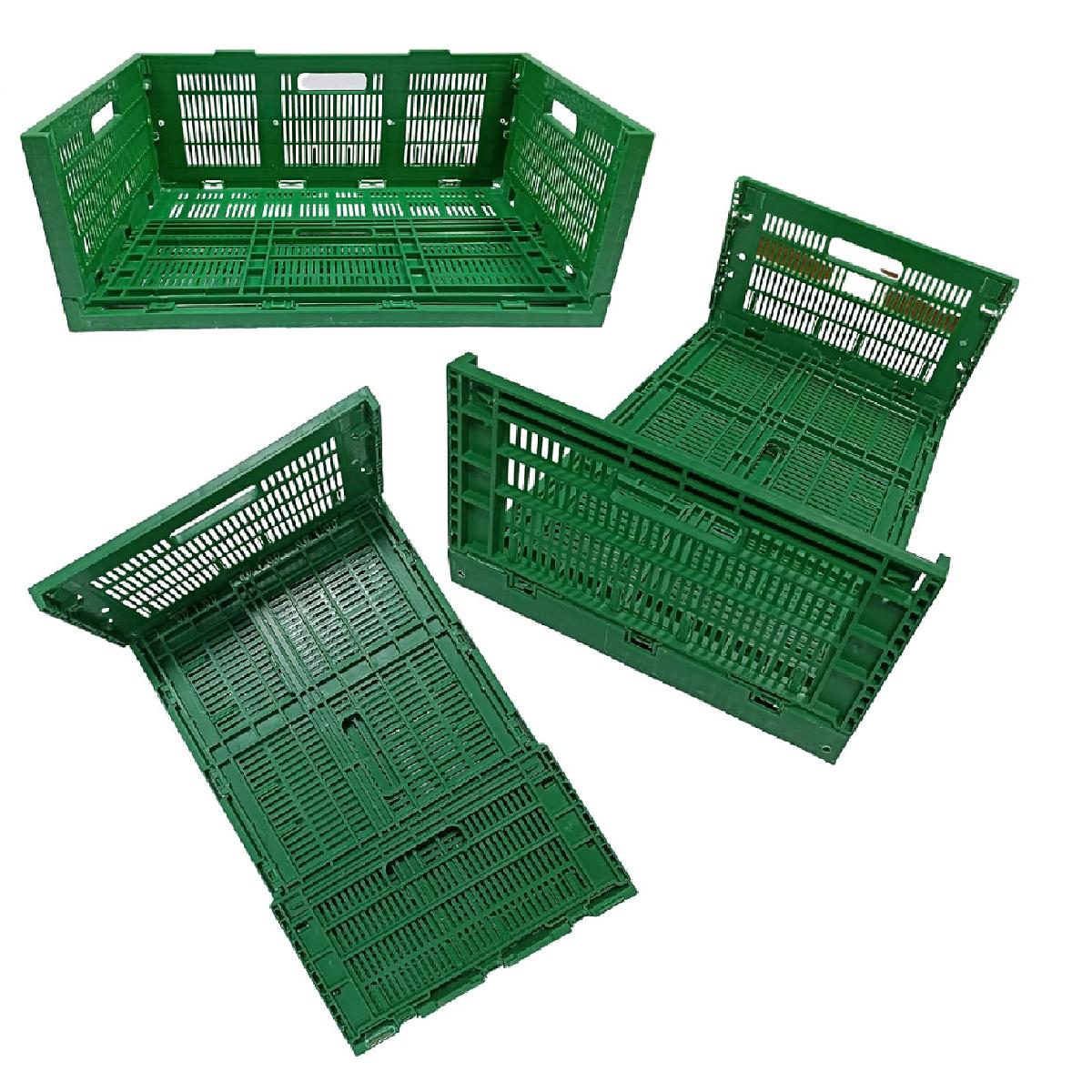 SINGHAL Foldable Plastic 65 L 500 x 325 x 200 mm Crates_1