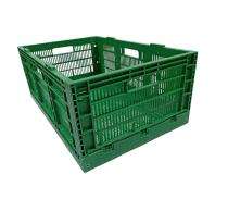 SINGHAL Foldable Plastic 65 L 500 x 325 x 200 mm Crates_0