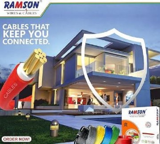 RAMSON 6 sqmm FR PVC Electric Wire Grey 90 m_1