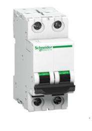 Schneider Electric A9N2P06C Double Pole 6 A C Curve MCB_0