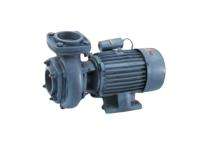 V-LUX VLXMB2-1025-SP 1 hp 2880 rpm Monoblock Pumps_0