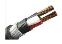 Copper XLPE Armoured PVC LT Power Cables 2 Core 34 sqmm 1.1 kV_0