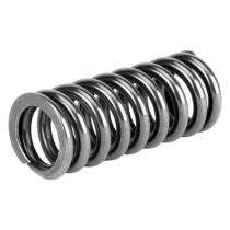 MESCO 100 mm Coil Spring Inconel 10 mm CS010 550 mm_0