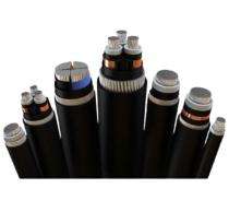 Aluminium XLPE Armoured PVC LT Power Cables 7 Core 22 sqmm 1.1 kV_0