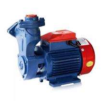 Crompton Greaves Mini Sapphire I 1 hp 2880 rpm Monoblock Pumps_0