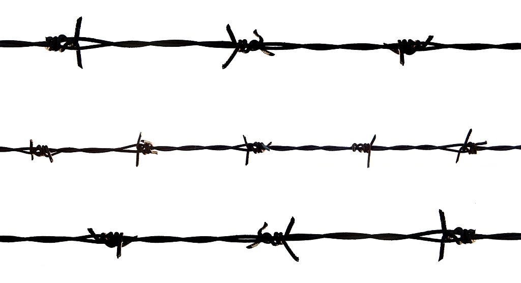 Shree Luxmi GI Barbed Wires 12 SWG_0