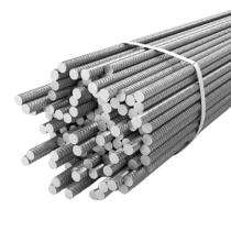 Amba Shakti 10 mm Fe 500SD TMT Bars 12 m ISI 1786 : 2008_0