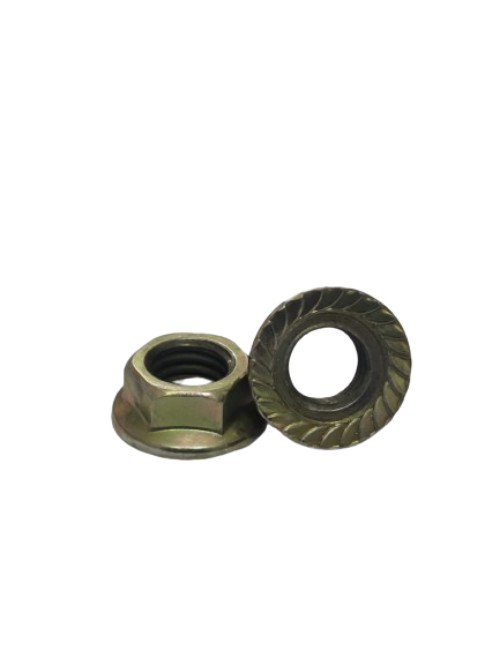 Bharat Mild Steel Flange Nuts M8_1