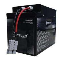 RECELLS 78 Ah 12 V Lithium Ion Batteries_0