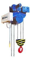 Bajaj 10 ton Hook Electric Hoist CH IV PROTON_0