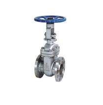 SKYWIN 4 inch Manual CF8 Gate Valves Flanged_0