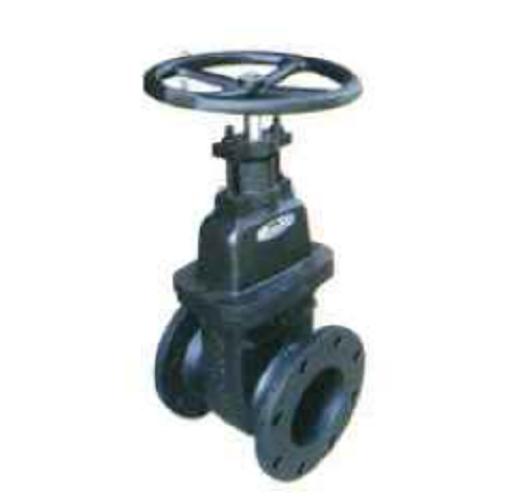 Cair DN 50 mm Manual Cast Iron Gate Valves Flanged MHW_2