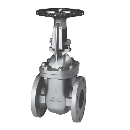 Cair DN 32 mm Manual Stainless Steel Gate Valves Flanged HW_1