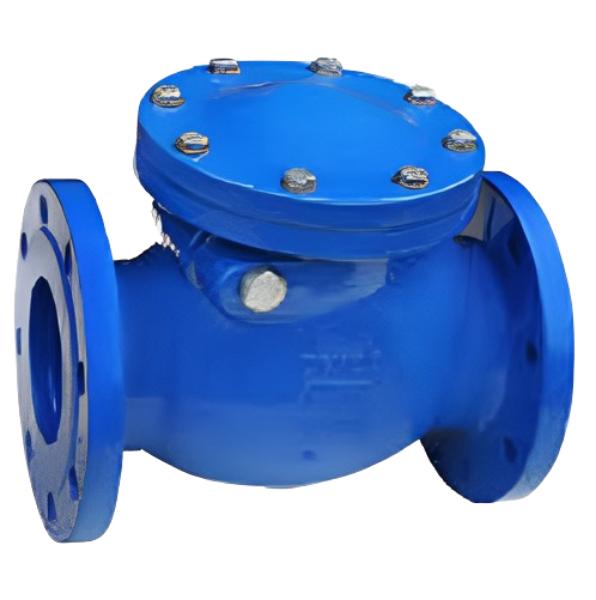 Cair Swing Type CI Non Return Valves 100 mm Flanged NRV_2