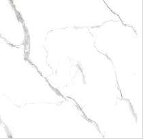 L&T SuFin Brand - Gravis Endless White 600 x 600 mm White Glossy Glazed Vitrified Tile_0
