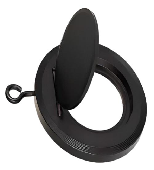 Cair Wafer CI Non Return Valves 50 mm Threaded NRV_1