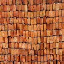 Natural Clay Red Bricks 210 x 55 x 12 mm_0