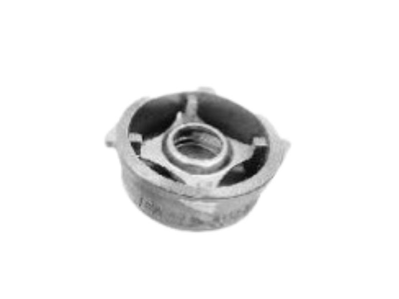 Cair DN 15 mm Manual Stainless Steel Check Valves Wafer Type_2