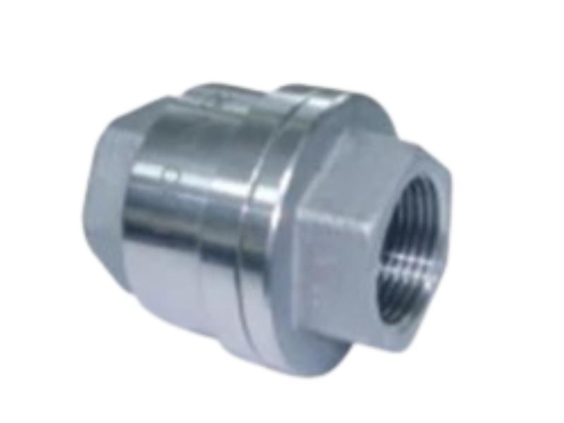 Cair DN 50 mm Manual Stainless Steel Check Valves Threaded_2