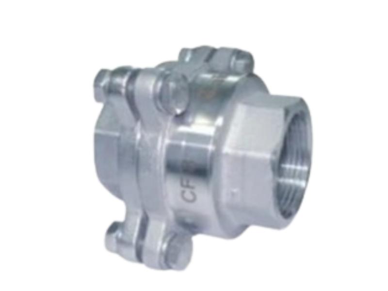 Cair DN 65 mm Manual Stainless Steel Check Valves Threaded_1