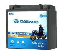 DAEWOO DW2.5LC SMF 12 - 12.6 V 2.5 Ah Lead Acid Batteries_0